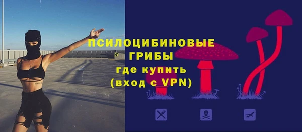 ECSTASY Нефтекумск