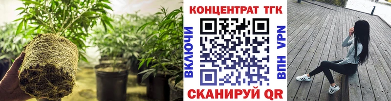 ТГК вейп  сайты даркнета телеграм  Макушино 